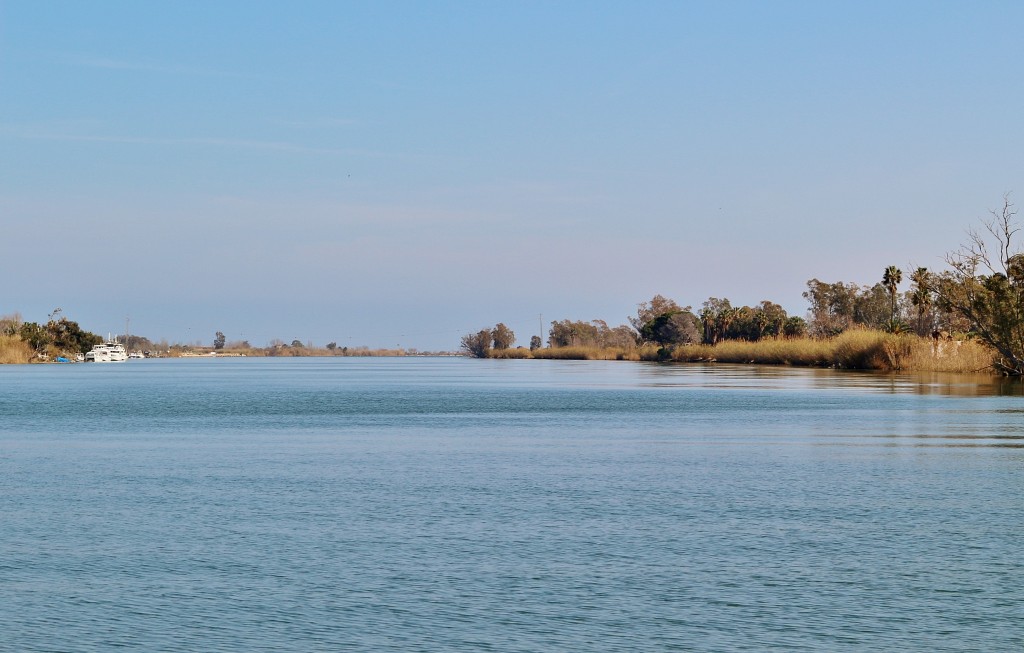 Foto: Navegando por el río Ebro - Deltebre (Tarragona), España