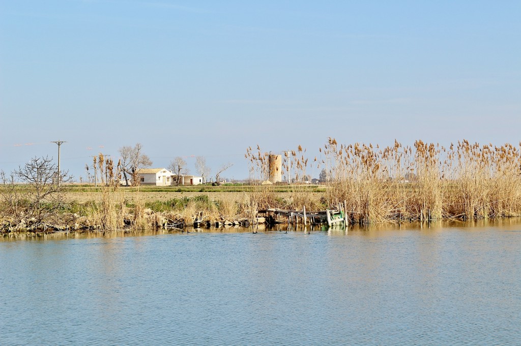 Foto: Navegando por el río Ebro - Deltebre (Tarragona), España