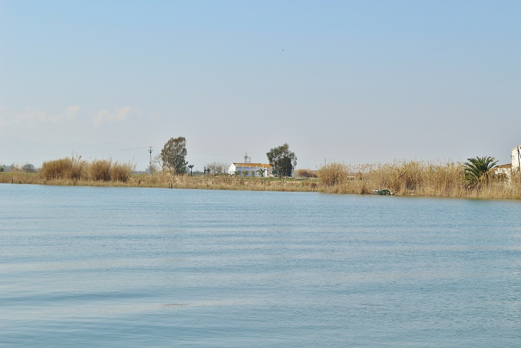 Foto: Navegando por el río Ebro - Deltebre (Tarragona), España