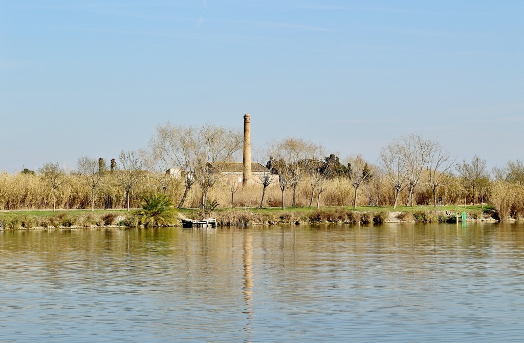 Foto: Navegando por el río Ebro - Deltebre (Tarragona), España
