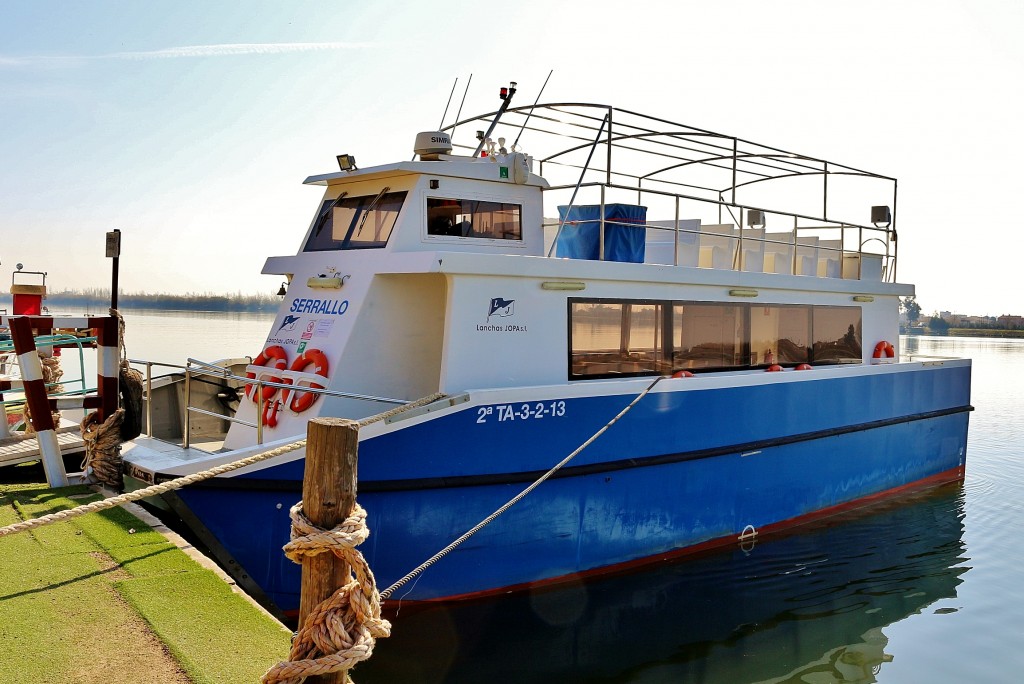 Foto: Navegando por el río Ebro - Deltebre (Tarragona), España
