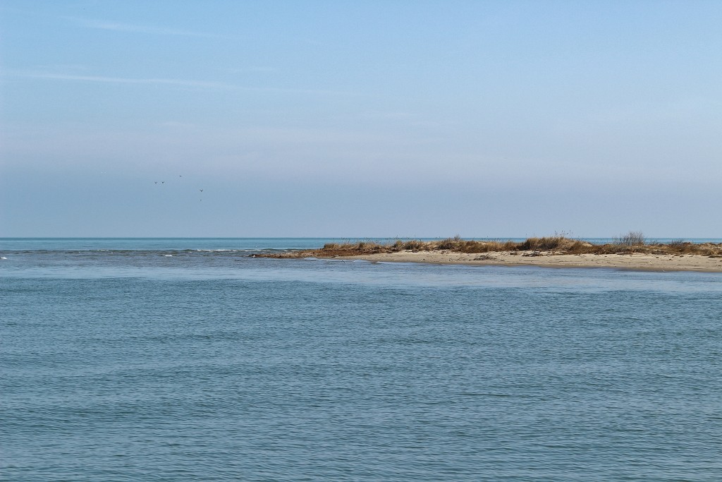 Foto: Navegando por el río Ebro - Deltebre (Tarragona), España