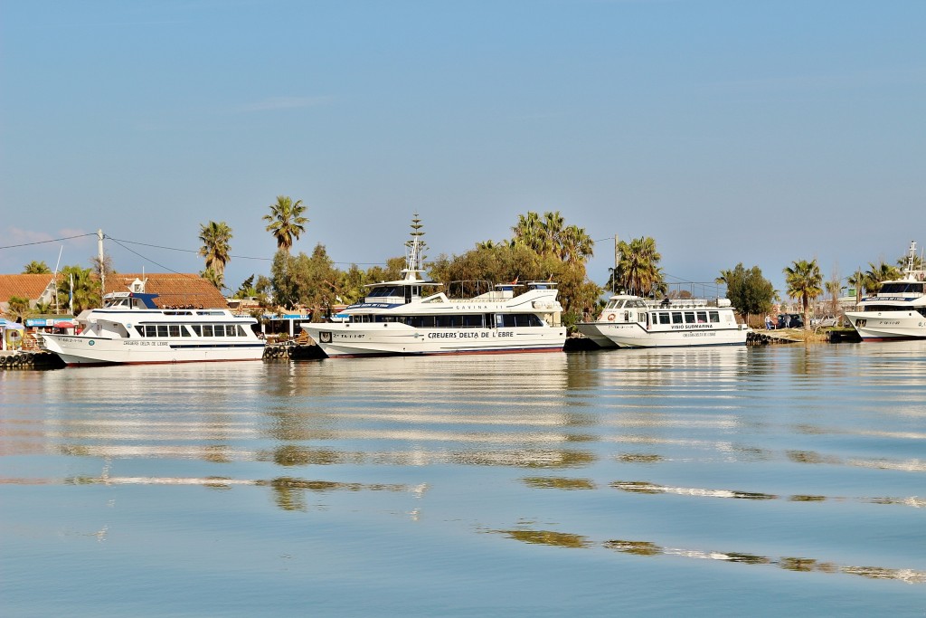 Foto: Navegando por el río Ebro - Deltebre (Tarragona), España