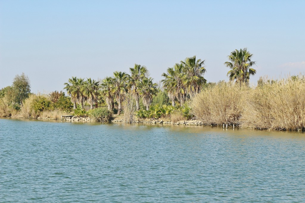 Foto: Navegando por el río Ebro - Deltebre (Tarragona), España