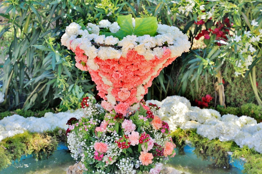 Foto: Exposición de claveles - Sitges (Barcelona), España