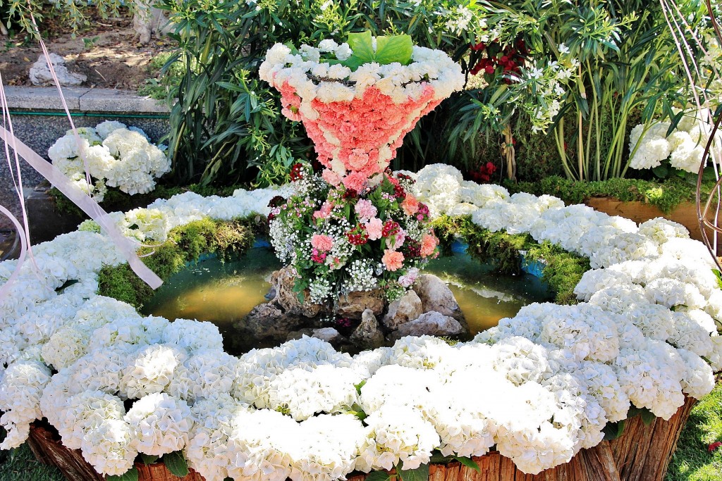 Foto: Exposición de claveles - Sitges (Barcelona), España