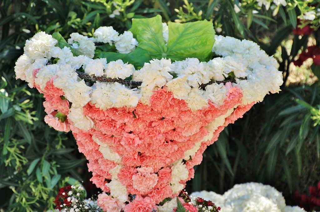 Foto: Exposición de claveles - Sitges (Barcelona), España