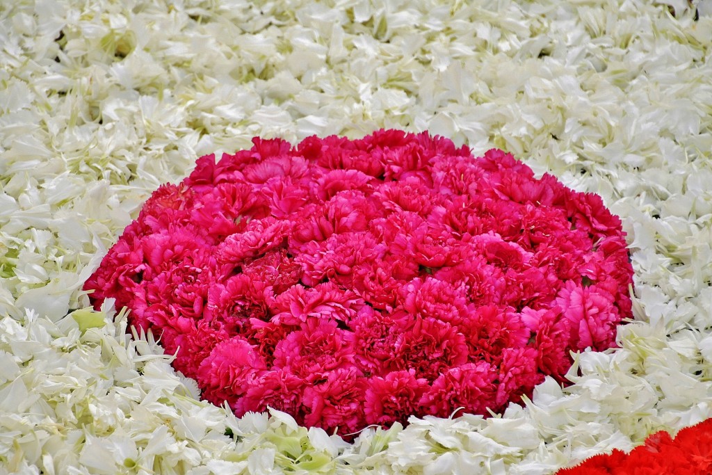 Foto: Alfombra de flores - Sitges (Barcelona), España