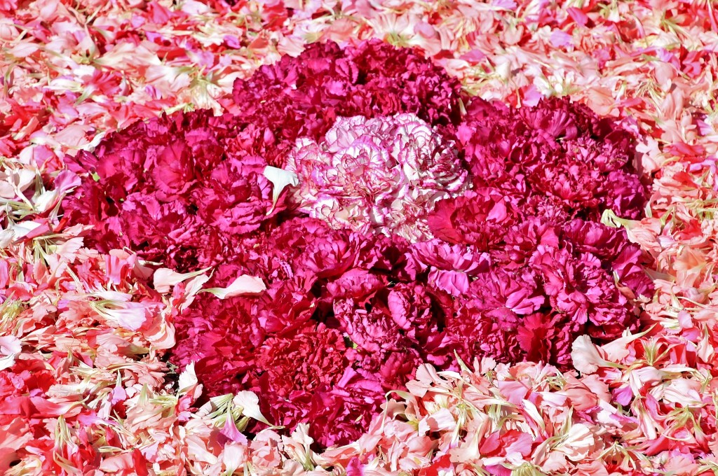 Foto: Alfombra de flores - Sitges (Barcelona), España