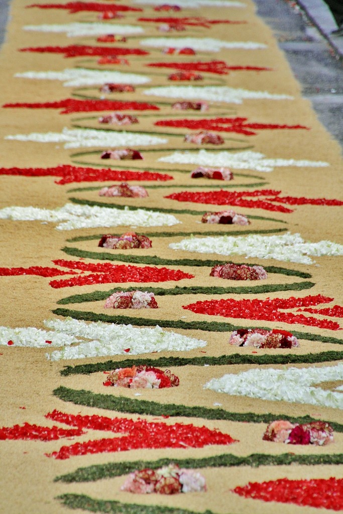 Foto: Alfombra de flores - Sitges (Barcelona), España