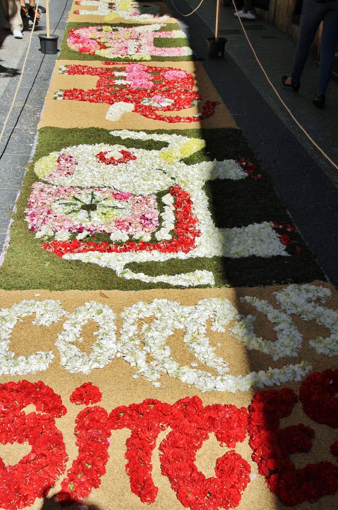 Foto: Alfombra de flores - Sitges (Barcelona), España