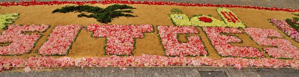 Foto: Alfombra de flores - Sitges (Barcelona), España