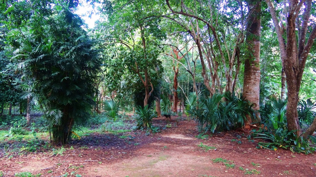 Foto: Yacimiento Arqueológico de Ek Balam - Ek Balam (Yucatán), México