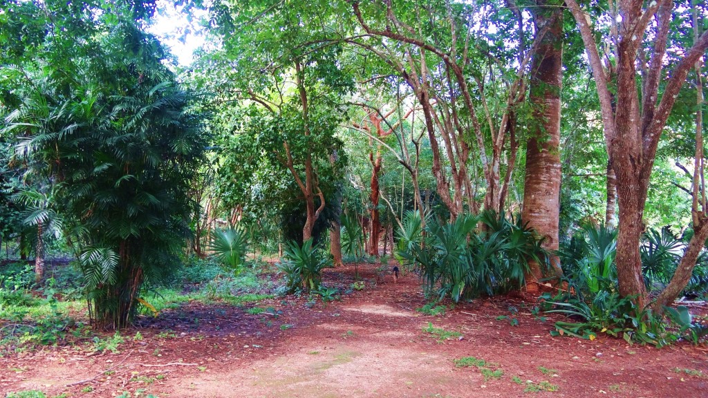 Foto: Yacimiento Arqueológico de Ek Balam - Ek Balam (Yucatán), México