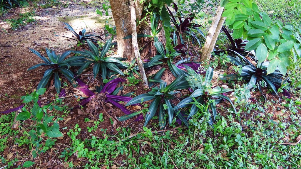 Foto: Yacimiento Arqueológico de Ek Balam - Ek Balam (Yucatán), México
