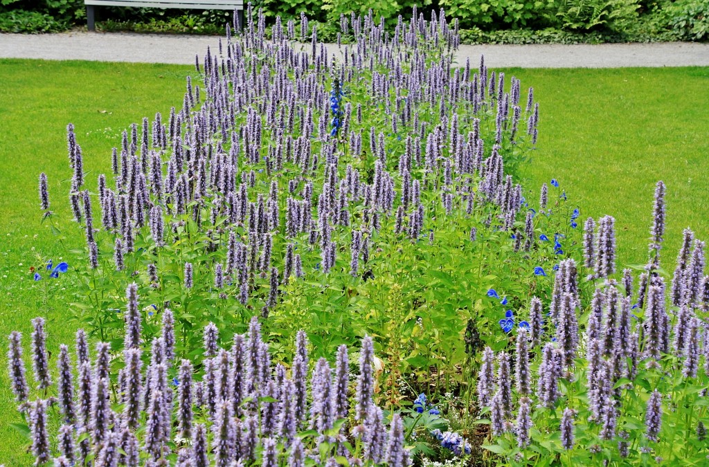 Foto: Blumenhof - Koblenz ( Coblenza ) (Rhineland-Palatinate), Alemania