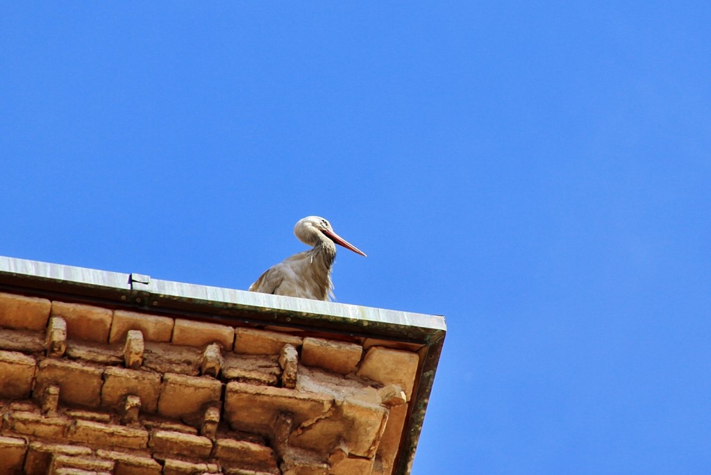 Foto: Centro histórico - Tarazona (Zaragoza), España