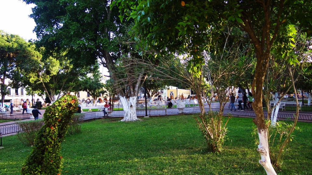 Foto: Parque Francisco Cantón - Valladolid (Yucatán), México