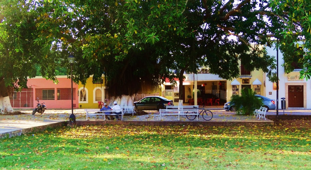 Foto: Parque Sisal - Valladolid (Yucatán), México