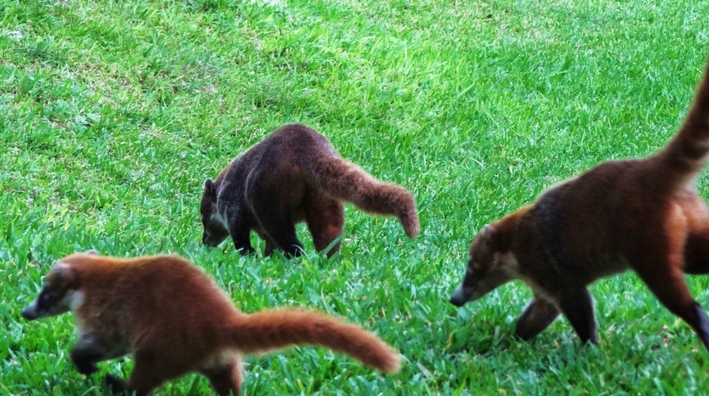 Foto: Hotel BlueBay Grand Esmeralda - Playa del Carmen (Quintana Roo), México