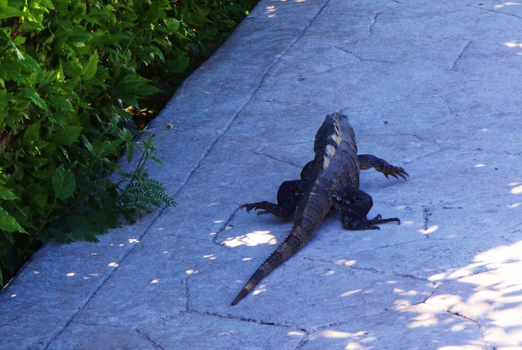 Foto: Hotel BlueBay Grand Esmeralda - Playa del Carmen (Quintana Roo), México