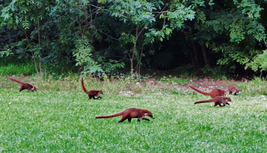 Foto: Hotel BlueBay Grand Esmeralda - Playa del Carmen (Quintana Roo), México