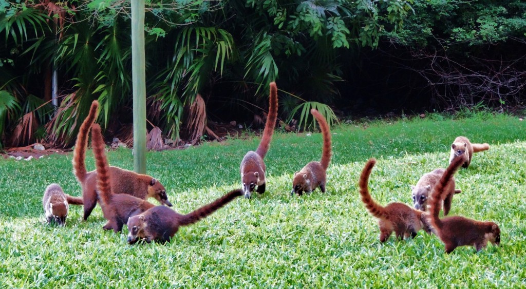 Foto: Hotel BlueBay Grand Esmeralda - Playa del Carmen (Quintana Roo), México
