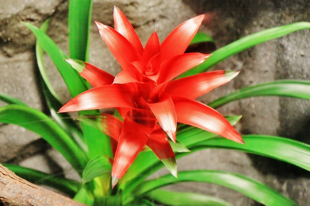 Foto: Acuario - Zaragoza (Aragón), España