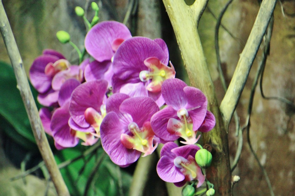 Foto: Acuario - Zaragoza (Aragón), España