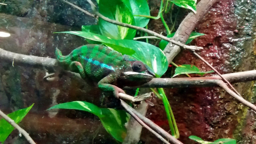 Foto: Acuario - Zaragoza (Aragón), España