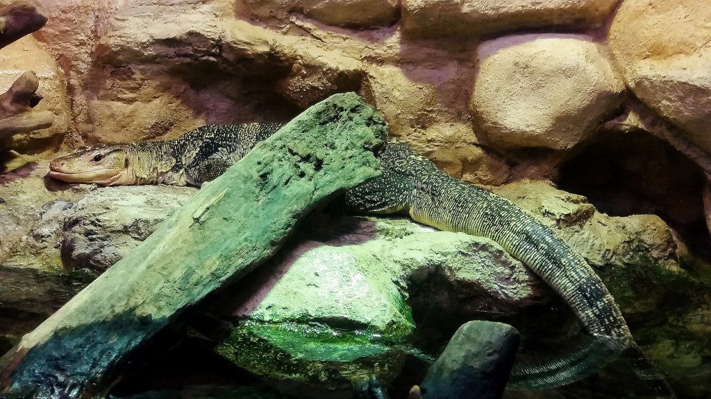 Foto: Acuario - Zaragoza (Aragón), España