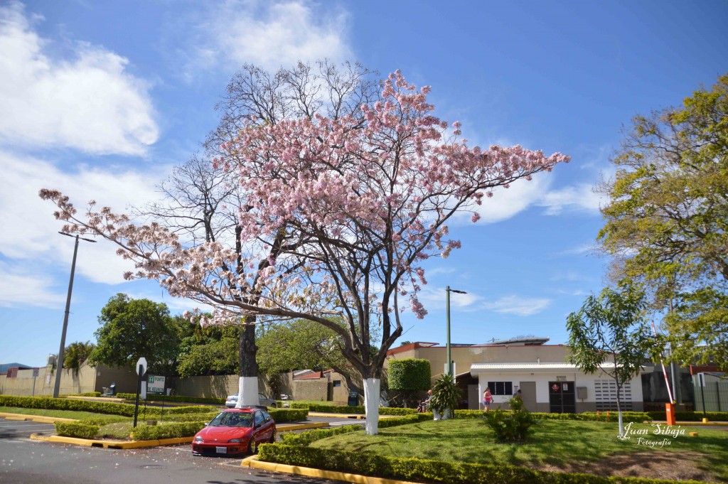 Foto de Alajuela, Costa Rica