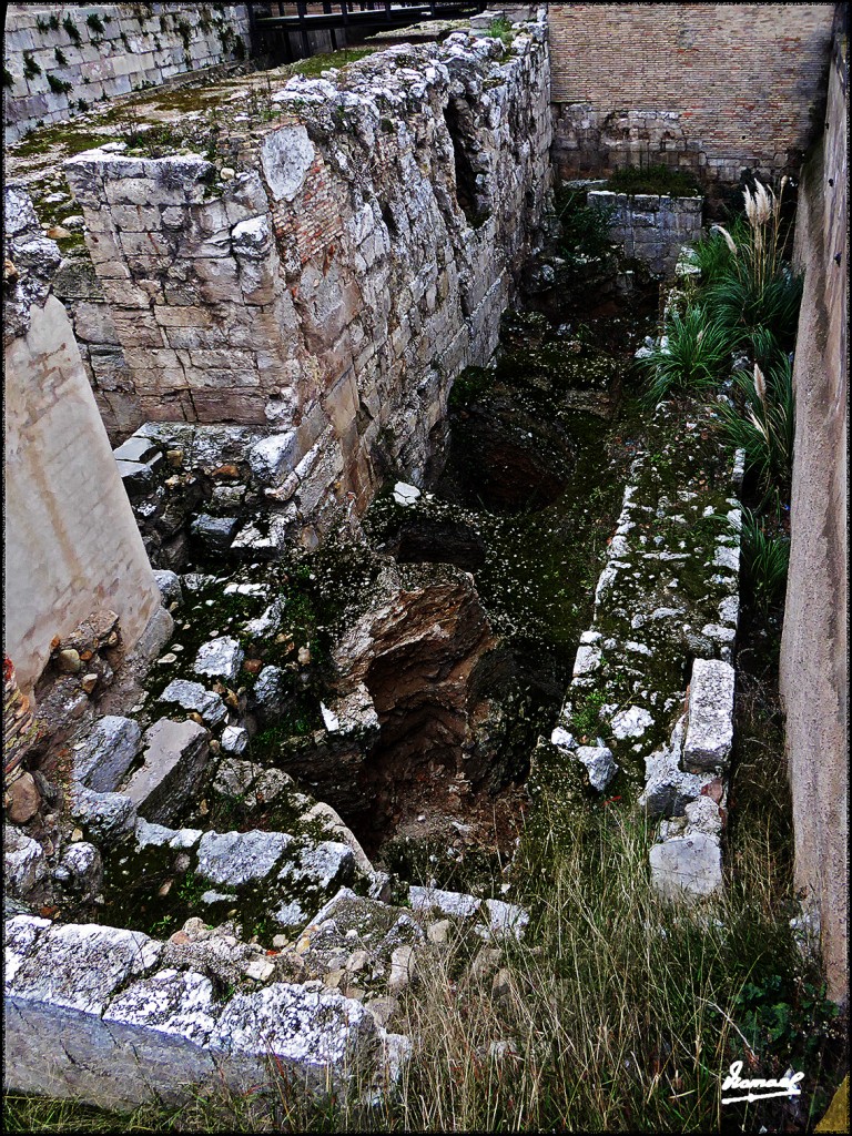 Foto: 170129-05 ZARAGOZA - Zaragoza (Aragón), España