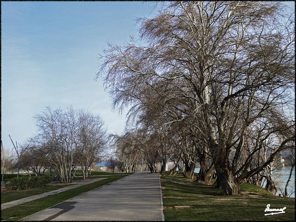 Foto: 170222-02 ZARAGOZA RIO EBRO - Zaragoza (Aragón), España