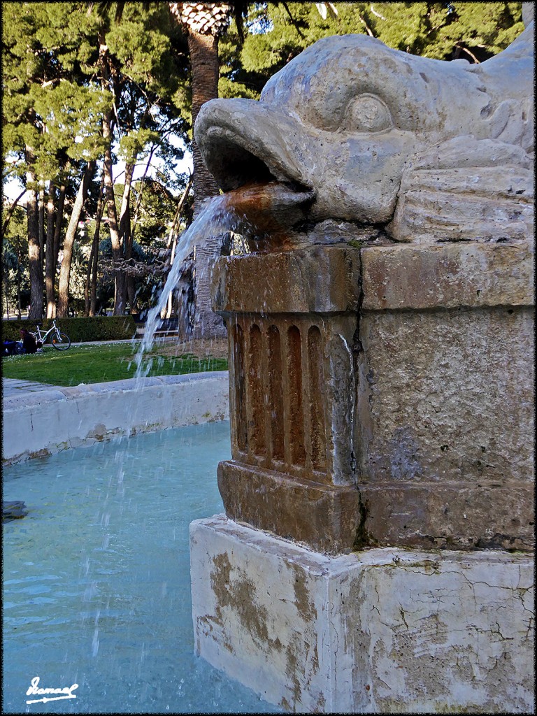 Foto: 170306-37 ZARAGOZA PARQUE - Zaragoza (Aragón), España