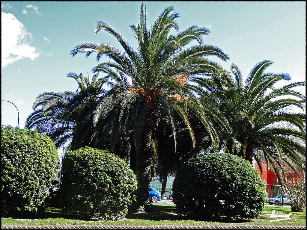 Foto: 170312-06 ZARAGOZA - Zaragoza (Aragón), España