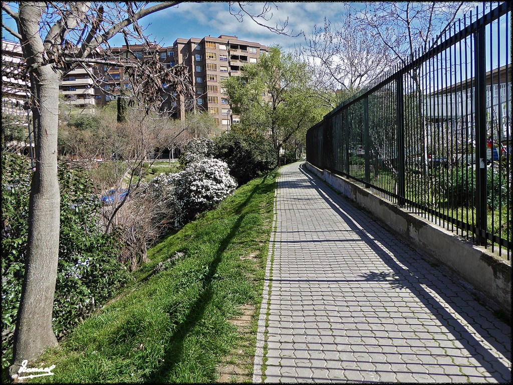 Foto: 170307-03 PARQUE MIRAFLORES - Zaragoza (Aragón), España