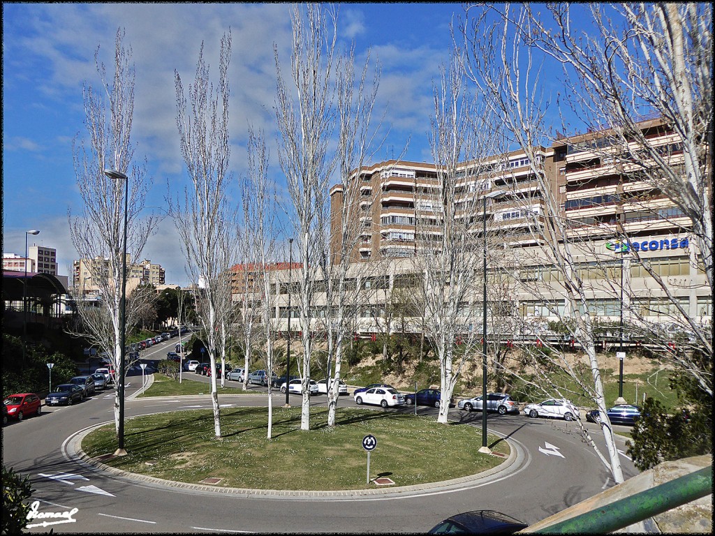 Foto: 170307-04 PARQUE MIRAFLORES - Zaragoza (Aragón), España