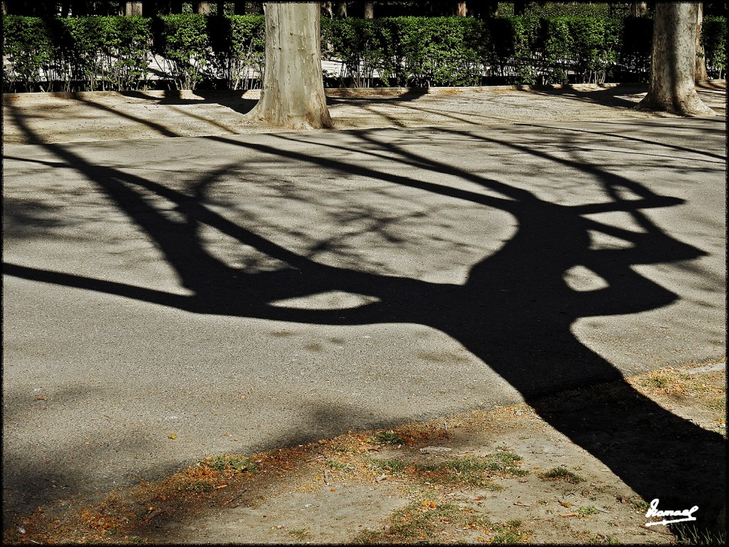 Foto: 170319-15 ZARAGOZA - PARQUE - Zaragoza (Aragón), España