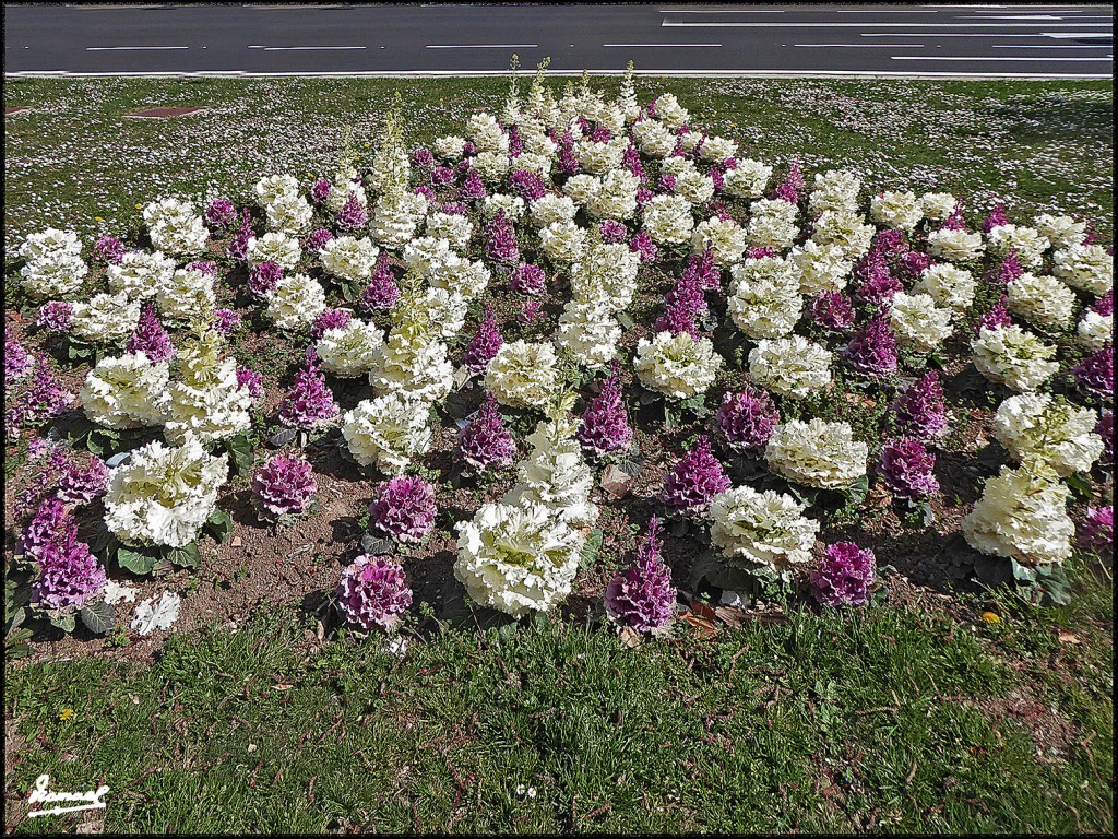 Foto: 170308-01 ZARAGOZA - Zaragoza (Aragón), España