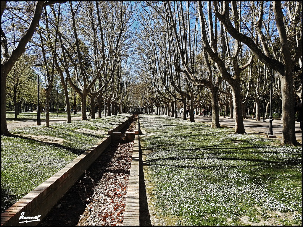 Foto: 170319-05 ZARAGOZA - PARQUE - Zaragoza (Aragón), España