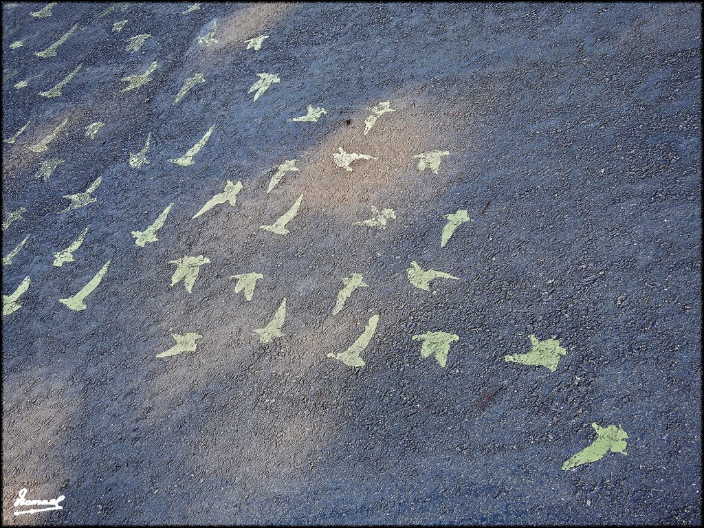 Foto: 170319-18 ZARAGOZA - PARQUE - Zaragoza (Aragón), España