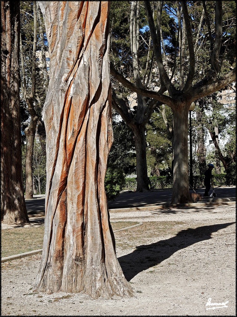 Foto: 170319-27 ZARAGOZA - PARQUE - Zaragoza (Aragón), España