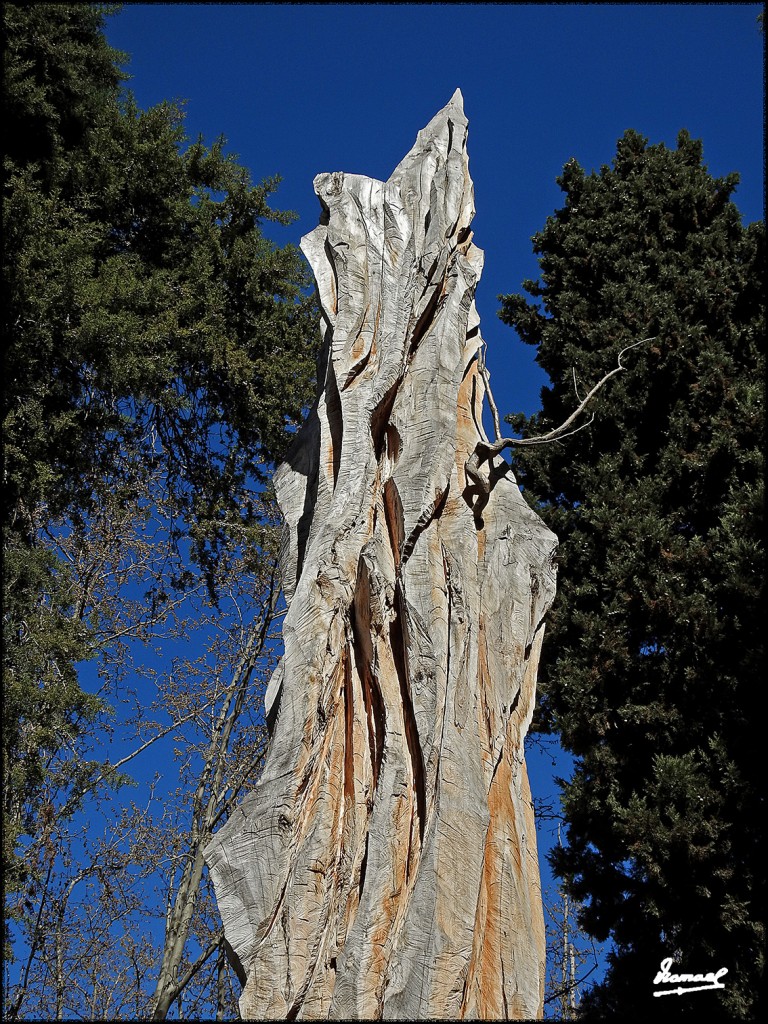 Foto: 170319-29 ZARAGOZA - PARQUE - Zaragoza (Aragón), España