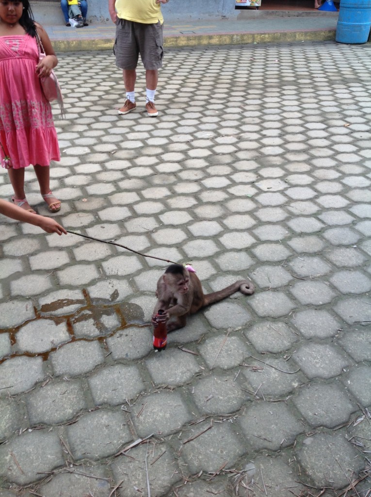 Foto: Comunidad Quichua - Misahualli (Napo), Ecuador