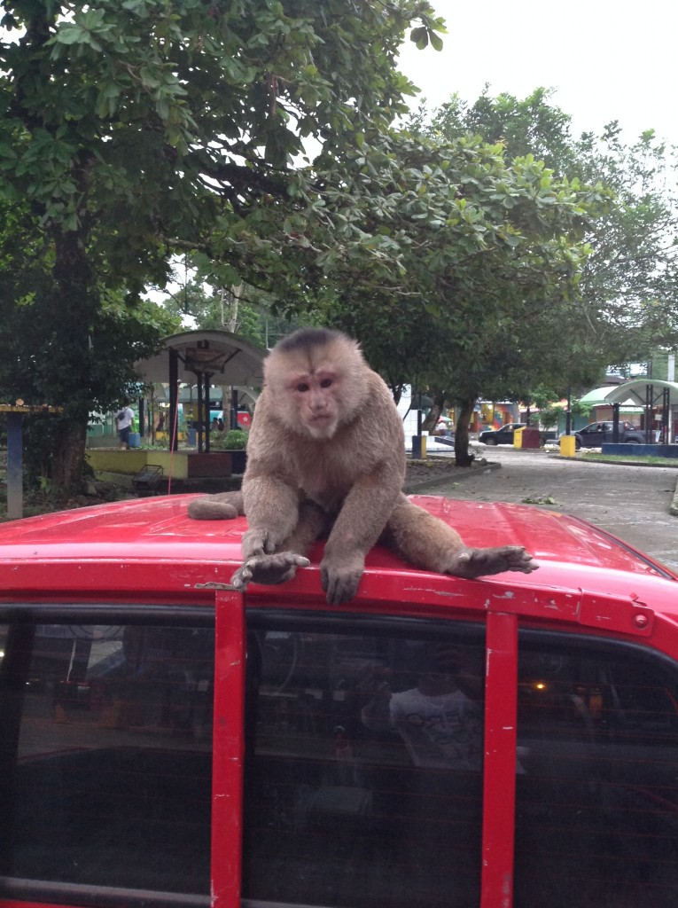 Foto: Comunidad Quichua - Misahualli (Napo), Ecuador