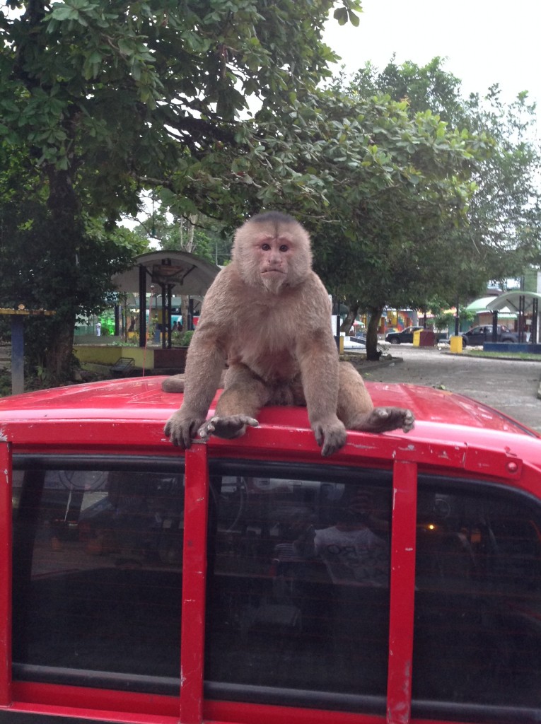Foto: Comunidad Quichua - Misahualli (Napo), Ecuador