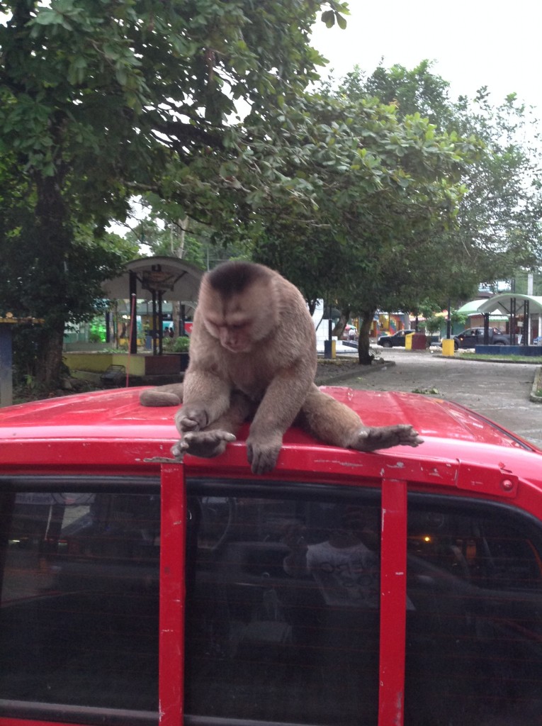 Foto: Comunidad Quichua - Misahualli (Napo), Ecuador