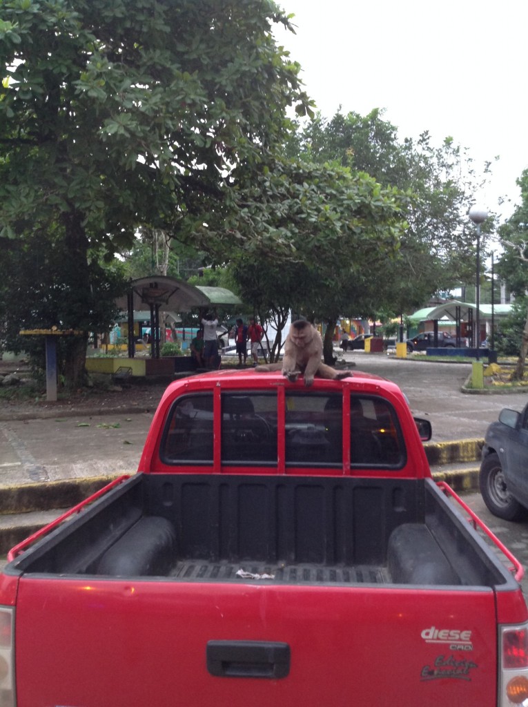 Foto: Comunidad Quichua - Misahualli (Napo), Ecuador