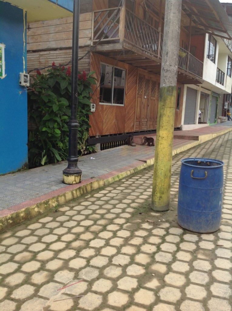 Foto: Comunidad Quichua - Misahualli (Napo), Ecuador